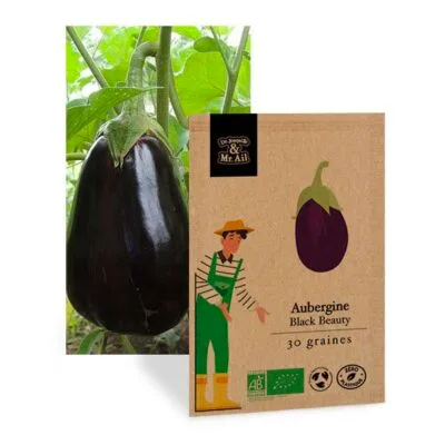 graine aubergine bio et reproductible - Dr. Jonquille & Mr. Ail