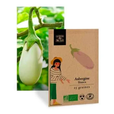 graine aubergine blanche bio et reproductible - Dr. Jonquille & Mr. Ail