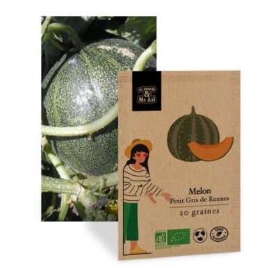 graine de melon petit gris de rennes bio - Dr. Jonquille & Mr. Ail