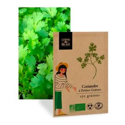 graine coriandre a petites graines bio et reproductible - Dr. Jonquille & Mr. Ail