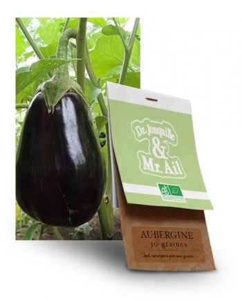 graine aubergine bio - Dr. Jonquille & Mr. Ail