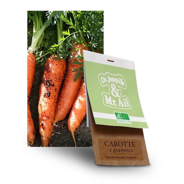 graine carotte bio - Dr. Jonquille & Mr. Ail