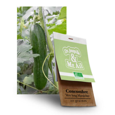 graine concombre long bio - Dr. Jonquille & Mr. Ail