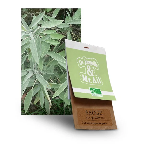 Sauge officinale verte BIO