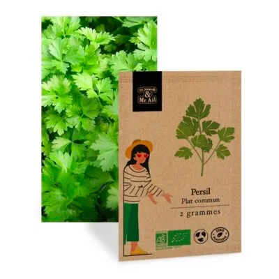 graine de persil plat bio - Dr. Jonquille & Mr. Ail