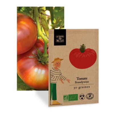 Graines Tomate Brandywine Bio - Dr. Jonquille & Mr. Ail