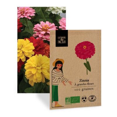 Graines de Zinnia Bio - Dr. Jonquille & Mr. Ail