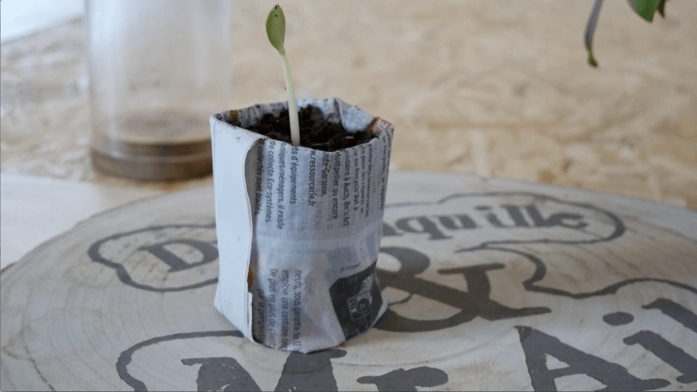 Pots à semis en papier et carton - infomaison