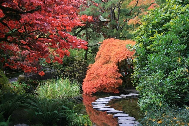 Jardinothérapie - Jardins Japonnais - Blog - Dr. Jonquille & Mr. Ail