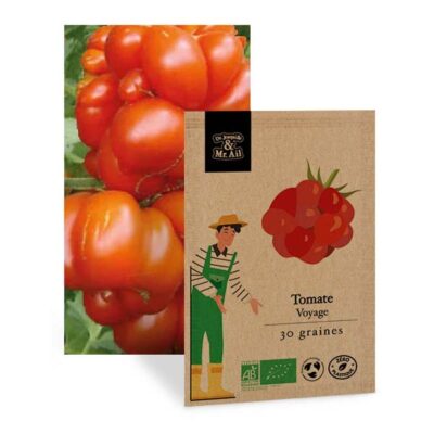 Graines de tomate voyage Bio et reproductible - Dr. Jonquille & Mr. Ail