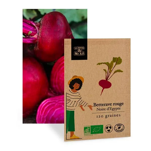 Grain Betterave Noire d'Egypte BIO et reproductible - Dr. Jonquille & Mr. Ail