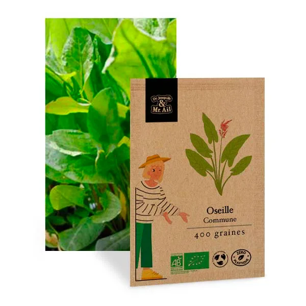Graine Oseille BIO et reproductible - Dr. Jonquille & Mr. Ail