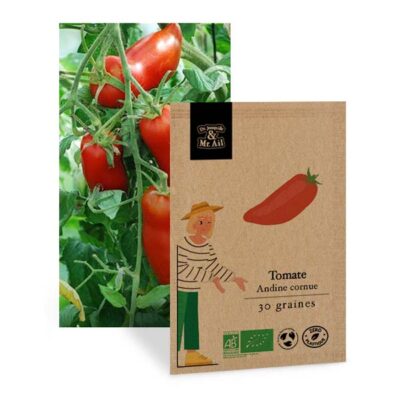 Graine Tomate Andine Cornue BIO et reproductible - Dr. Jonquille & Mr. Ail