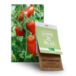 Graine Tomate Andine Cornue BIO