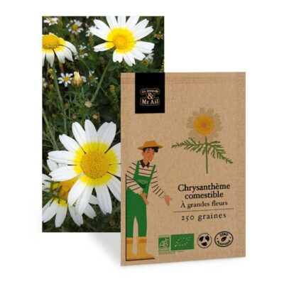 Graines bio Chrysanthème Comestible - Dr. Jonquille & Mr. Ail