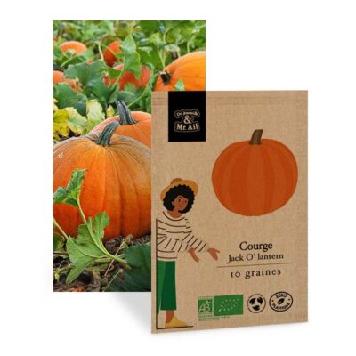 Graines Bio - Courge Jack O'lantern BIO - Dr. Jonquille & Mr. Ail