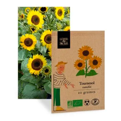 Graines Bio Tournesol Ramifié