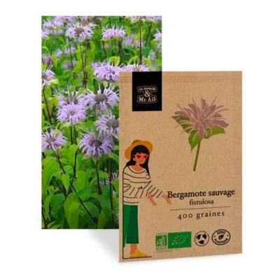Graines Bergamotte Sauvage Bio - Dr. Jonquille & Mr. Ail