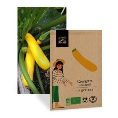 graine courgette rheingold bio et reproductible - Dr. Jonquille & Mr. Ail