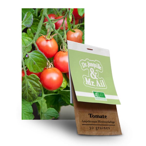 Graines Bio - Tomate Ampeltomate Himbeerfarbige - Dr. Jonquille & Mr. Ail