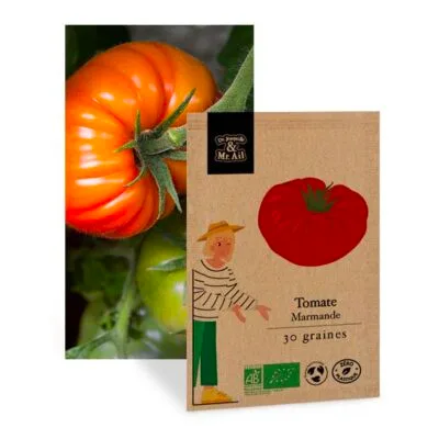 Graines Tomate Marmande BIO - Dr. Jonquille & Mr. Ail