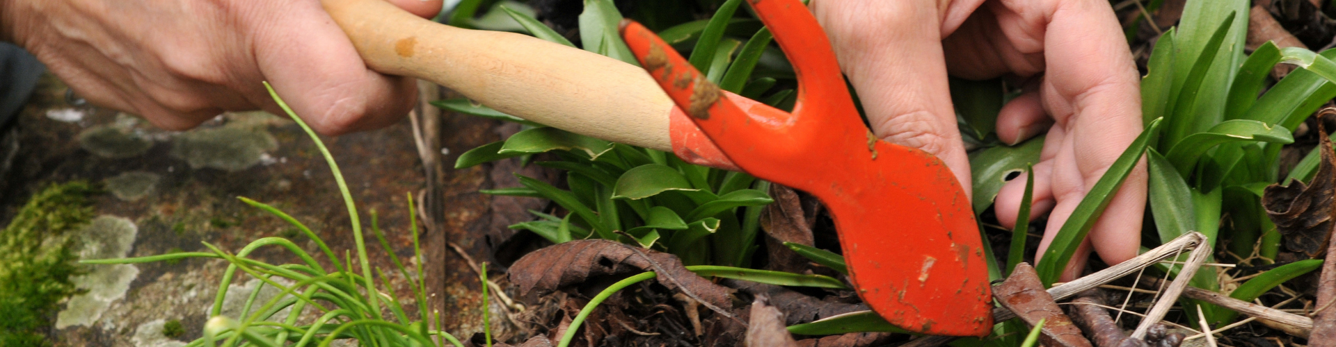 Les 8 outils indispensables au jardin - Blog - Dr. Jonquille & Mr. Ail