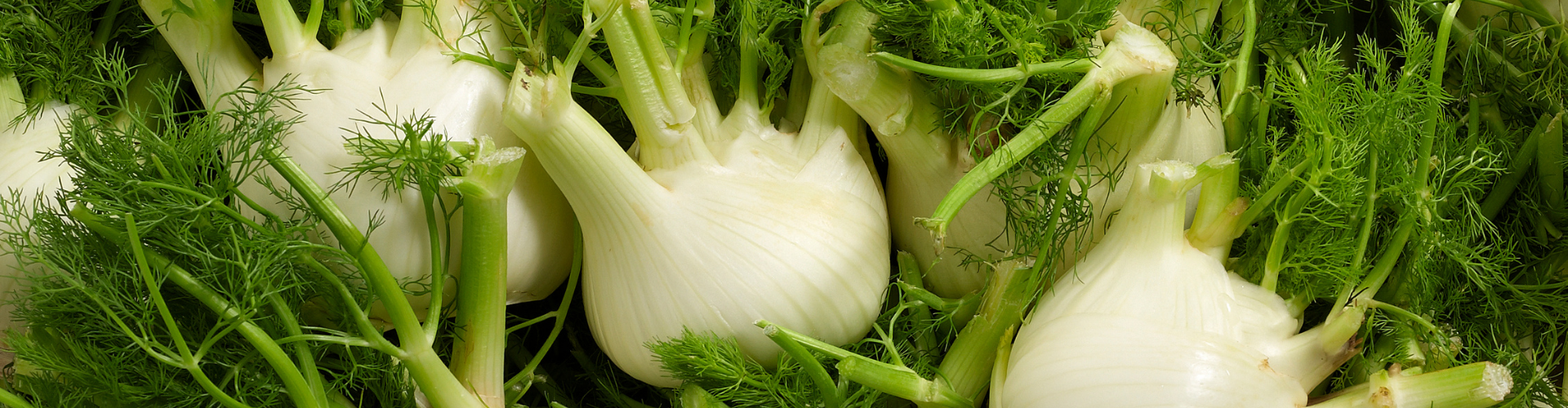 7 légumes qui poussent à l'infini - Blog - Dr. Jonquille & Mr. Ail