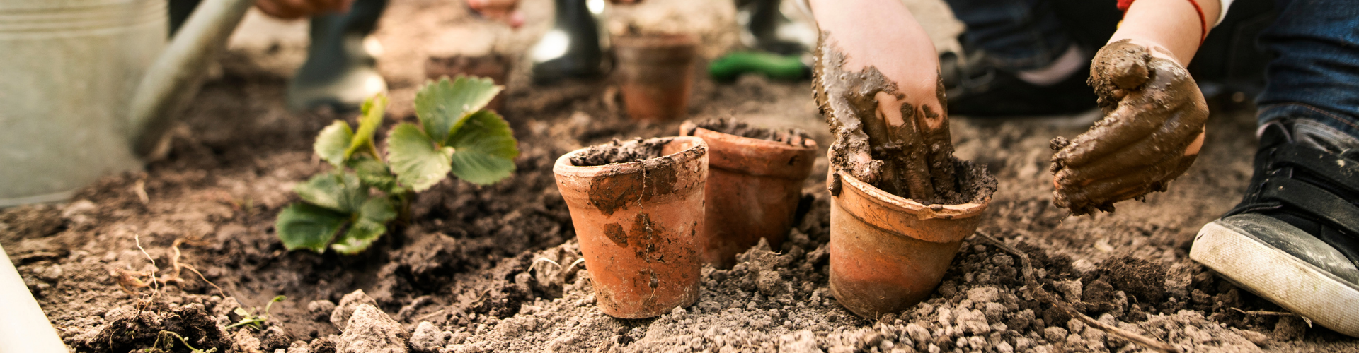 10 idées-cadeaux pour les petits jardiniers - Jardinier paresseux