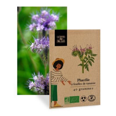 Graine bio et reproductibles Phacélie Tanacetifolia