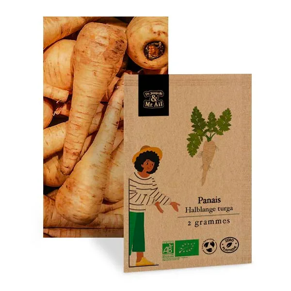 Graines bio et reproductibles panais halblange turga