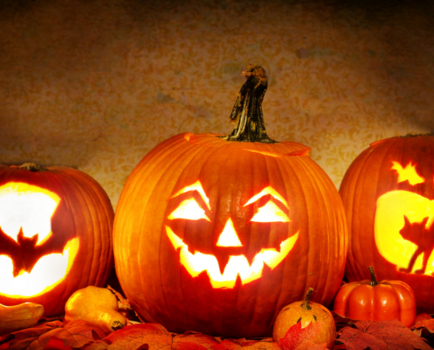 DIY au potager : faire une citrouille d'Halloween - Blog - Dr. Jonquille & Mr. Ail