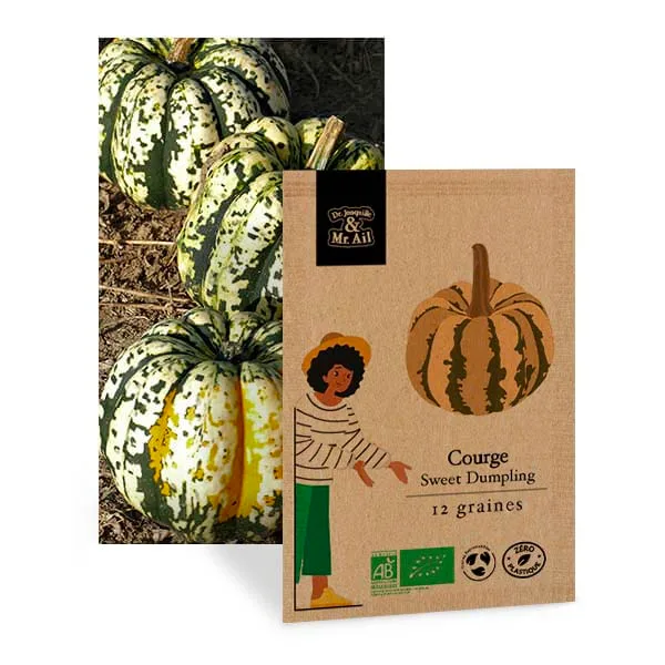 Graine bio et reproductible - courge Patidou Sweet Dumpling