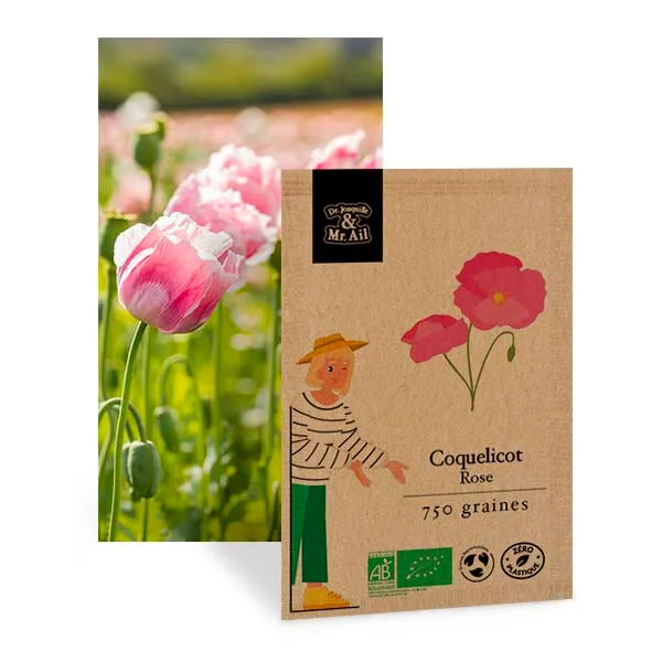 Graines bio et reproductibles - Coquelicot Rose