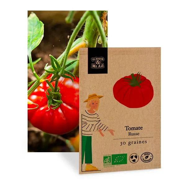 Graine bio et reproductibles - Tomate Russe