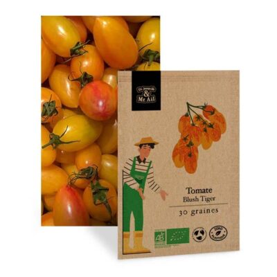 Graines bio et Reproductibles - Tomate Bluhs Tiger