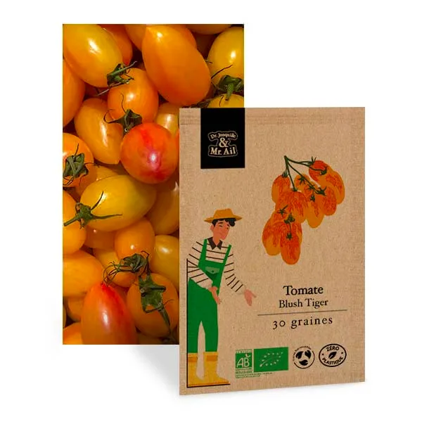 Graines bio et Reproductibles - Tomate Bluhs Tiger