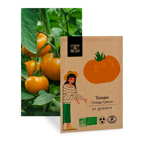Graines bio et Reproductibles - Tomate Orange Queen