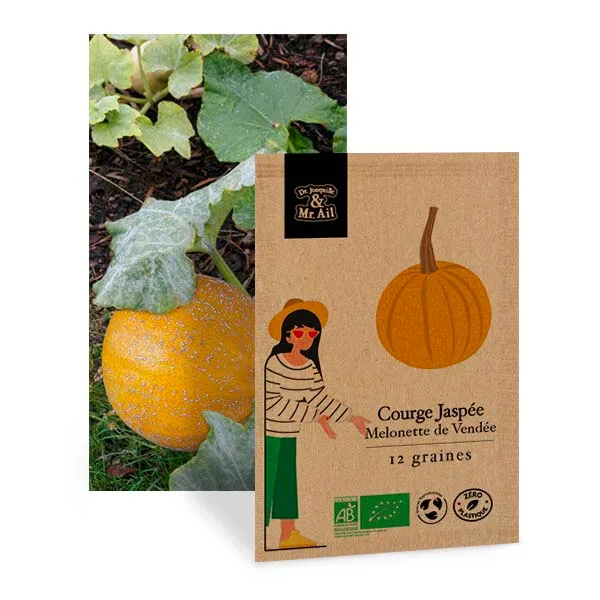 Graines Bio et Reproductibles - Courge Melonette Jaspée de Vendée