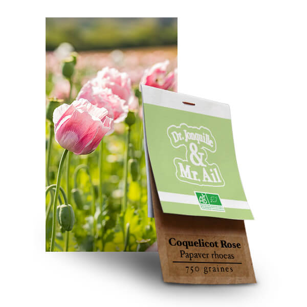 Graines bio et reproductibles - Coquelicot Rose