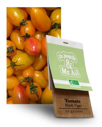 Graines bio et Reproductibles - Tomate Bluhs Tiger