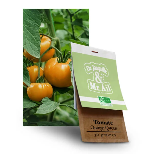 Graines bio et Reproductibles - Tomate Orange Queen