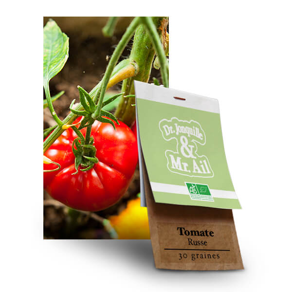 Graine bio et reproductibles - Tomate Russe