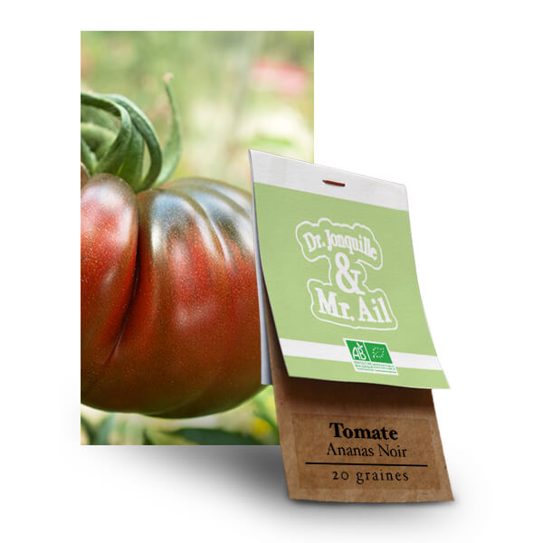Graines bio et Reproductible - Tomate Ananas Noire