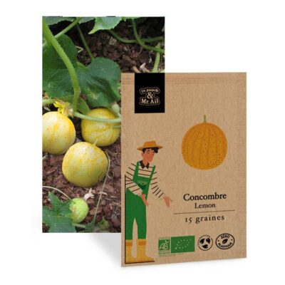 Graine bio et reproductibles - Concombre Lemon