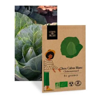 Graines Bio et Reproductibles - Chou Cabus Pointu de Châteaurenard