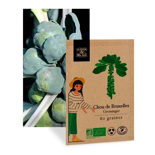 Graines Bio et Reproductibles - Choux de Bruxelles Groninger