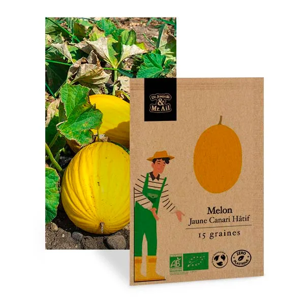 Graines Bio et Reproductibles - Melon Jaune Hâtif Canari