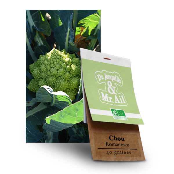 Graines Bio et Reproductibles - Chou Fleur Romanesco