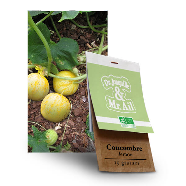 Graine bio et reproductibles - Concombre Lemon