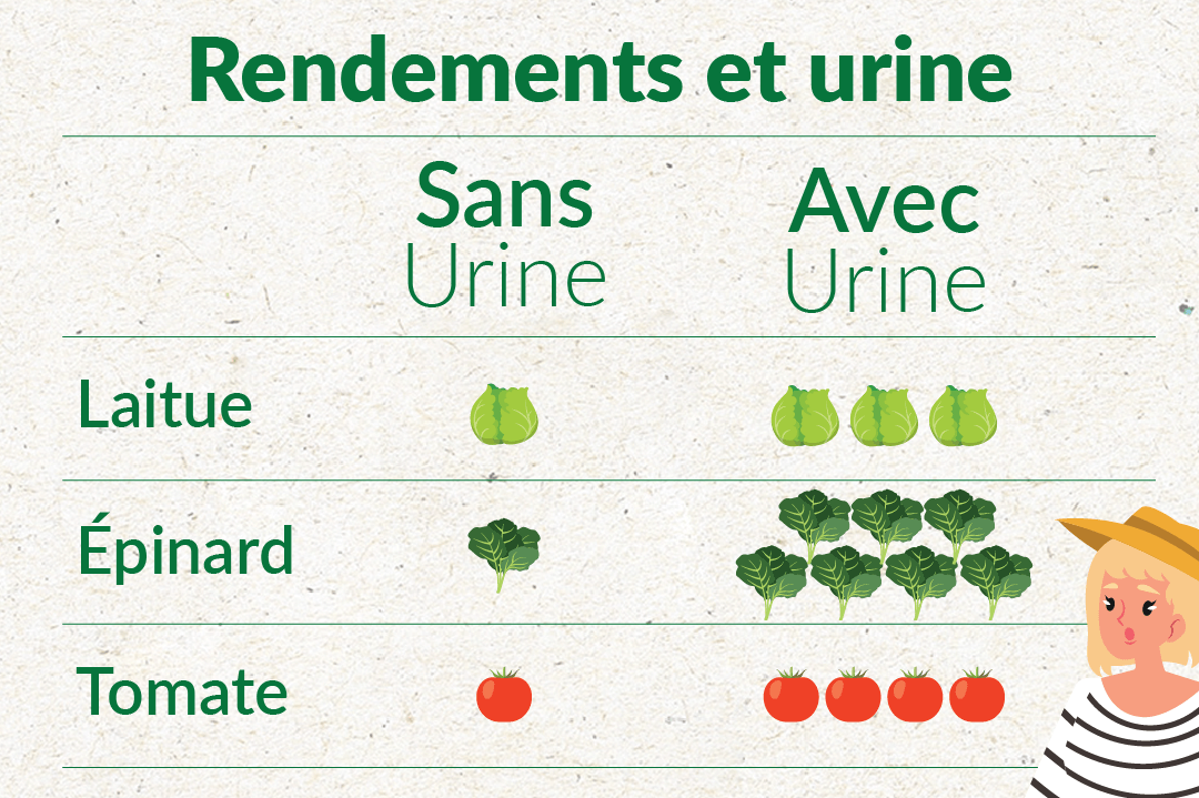 plus-de-légumes-urine